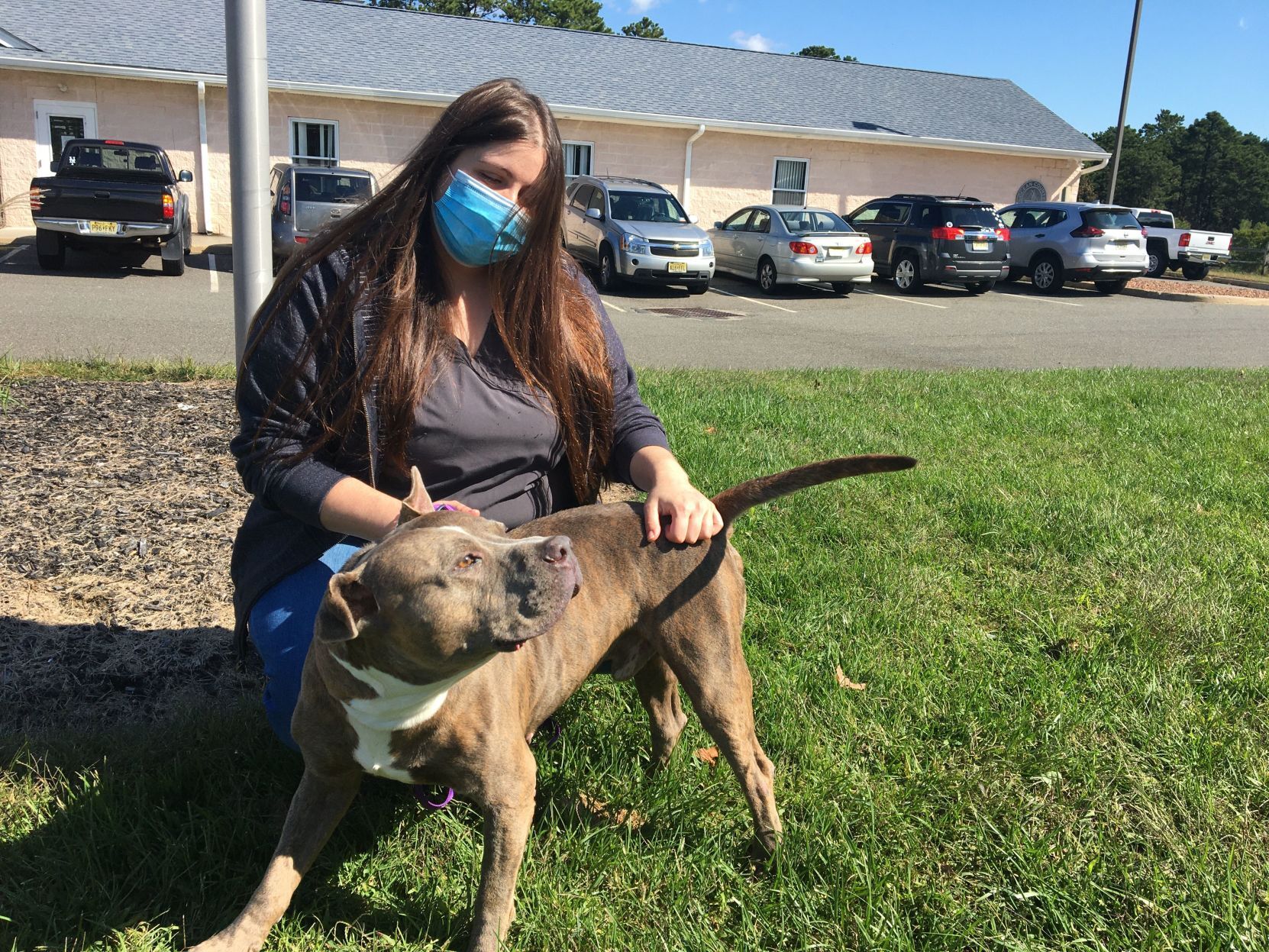 shelter dogs (17).jpeg